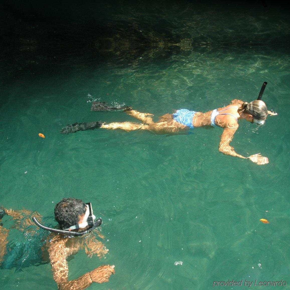 Playa Nicuesa Rainforest Eco Sanctuary Golfito Εξωτερικό φωτογραφία