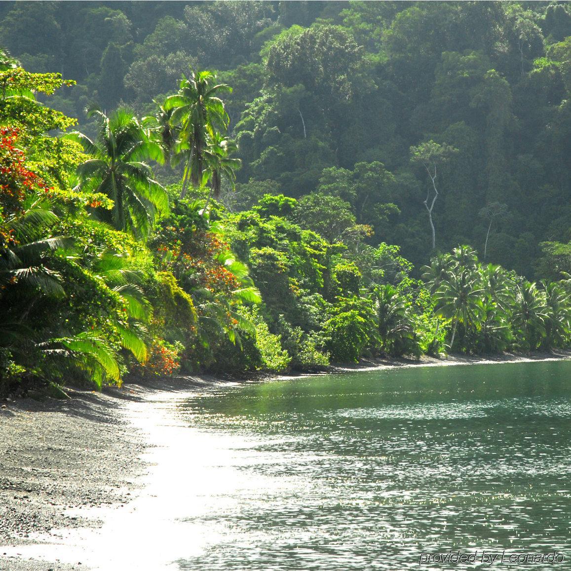 Playa Nicuesa Rainforest Eco Sanctuary Golfito Εξωτερικό φωτογραφία
