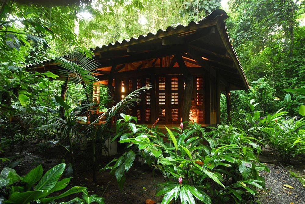 Playa Nicuesa Rainforest Eco Sanctuary Golfito Εξωτερικό φωτογραφία