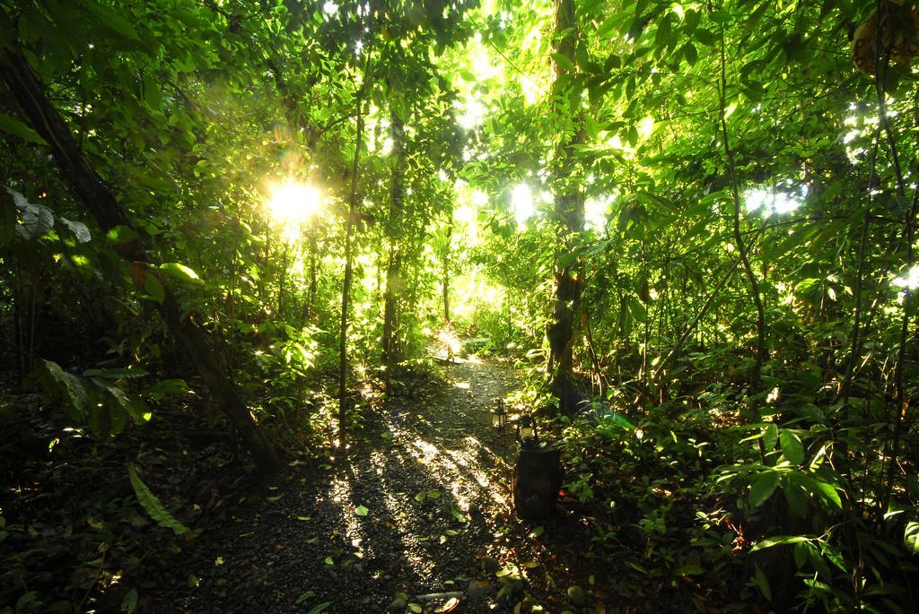 Playa Nicuesa Rainforest Eco Sanctuary Golfito Εξωτερικό φωτογραφία