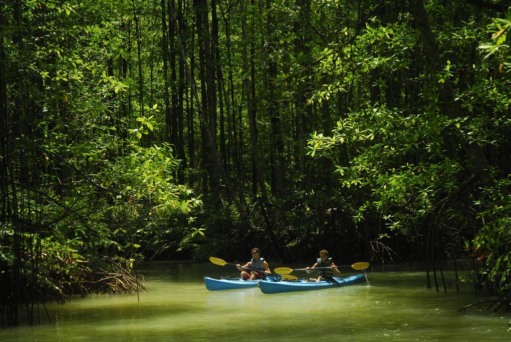 Playa Nicuesa Rainforest Eco Sanctuary Golfito Εξωτερικό φωτογραφία